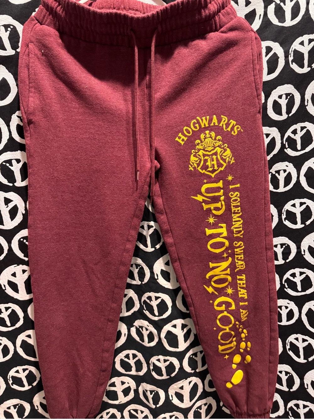 Harry Potter hogwarts sweat pants